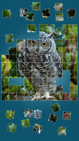 Animals Jigsaw Puzzle - Preview 8