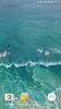 Dolphins Video Live Wallpaper screenshot 7