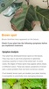 PictureThis screenshot 9