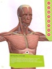 Anatomia Super screenshot 3