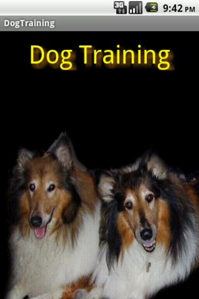 Dog Training - Preview 6