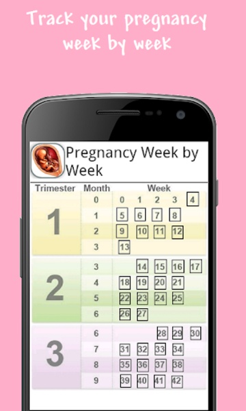 Pregnancy week guide - Preview 5
