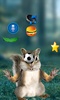 Real Talking Squirrel screenshot 5