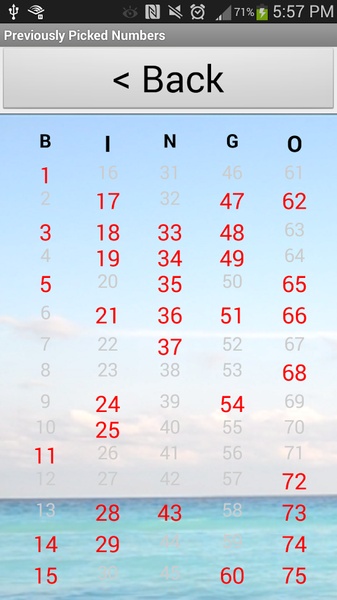 Bingo Number Generator - Preview 1