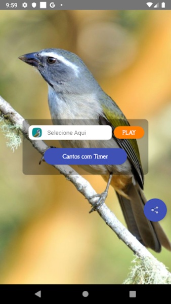 Cantos Do Trinca Ferro - Preview 5