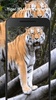 Tiger 3d Live Wallpaper screenshot 2