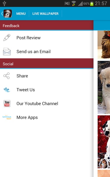 Cute Puppies Wallpapers - Preview 5