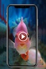 Fish Video Wallpaper screenshot 6