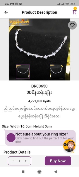 Shwe Nan Taw - Preview 6