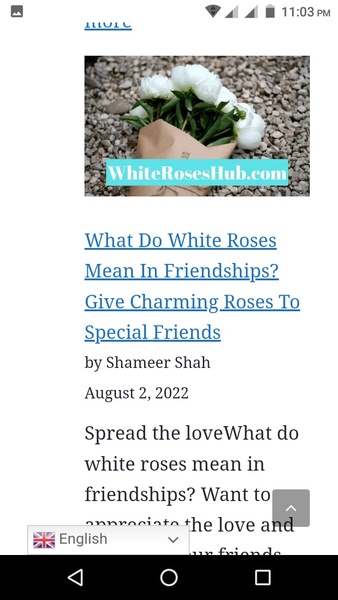 WhiteRosesHub - Preview 3