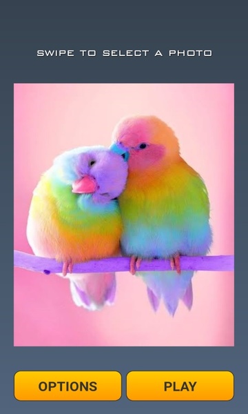 Cute Birds Puzzle - Preview 6