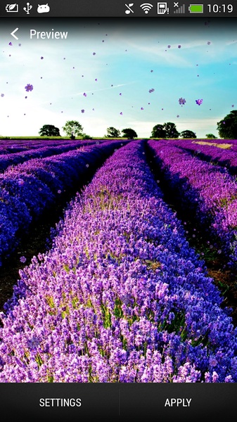 Lavender Live Wallpaper - Preview 3