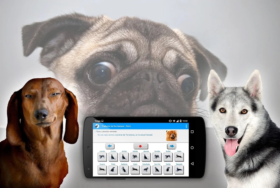 TranslateDog - Preview 4