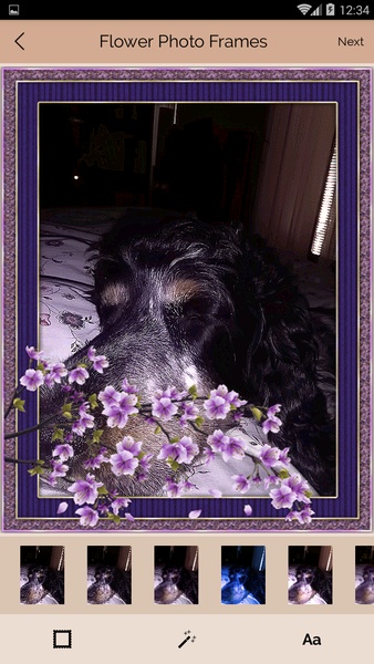Flower Photo Frames - Preview 4