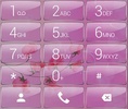 ExDialer Pink Flowers Glass theme screenshot 1