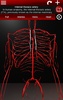 Circulatory System in 3D (Anatomy) screenshot 5