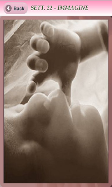 Gravidanza Mia - Free - Preview 6