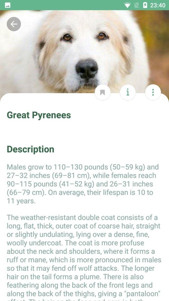 NatureID - Preview 8