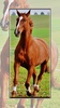 Horse Wallpapers screenshot 15