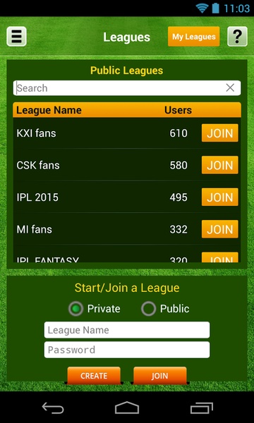 Fantasy Cricket - Preview 4