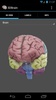 3D Brain screenshot 3