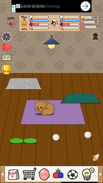 Be My Family - Dog Cat - Preview 4
