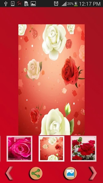 Rose Wallpaper - Preview 3