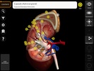 Anatomy 3D Atlas screenshot 4
