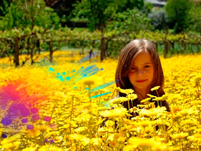 Photo Effects Editor HD - Preview 1