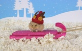Puzzle - Cute Hamsters screenshot 10