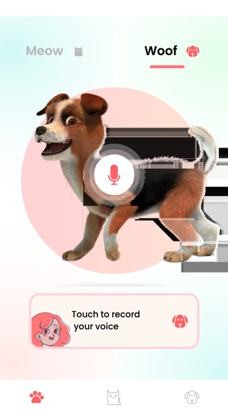 Happy pets - Preview 4