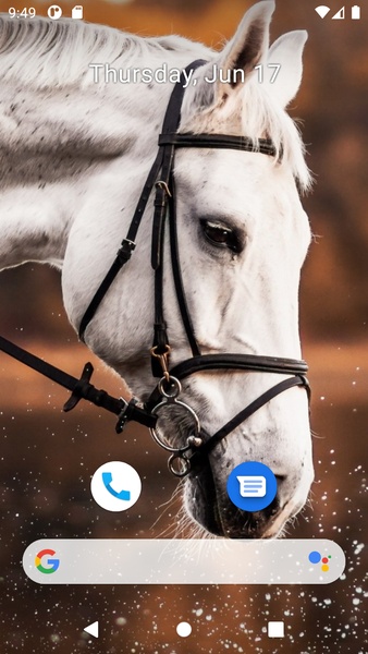 Horse Wallpaper HD - Preview 7