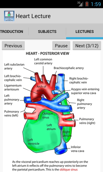 Heart Lecture - Preview 6