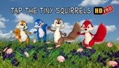 Tap The Tiny Squirrels HD Pro screenshot 11