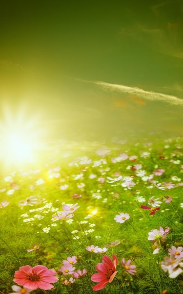 Spring Meadow Live Wallpaper - Preview 8
