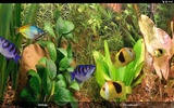 Aqua 3D Live Wallpaper screenshot 3