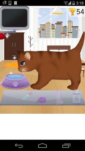Cat Birth - Preview 1