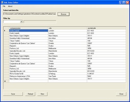 XML Data Editor screenshot 1
