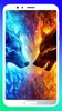 Wolf Wallpapers 4K screenshot 19
