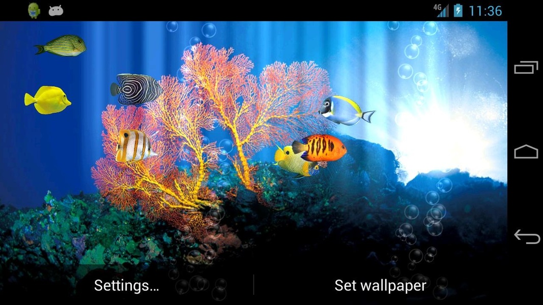 Fish Aquarium - Preview 8