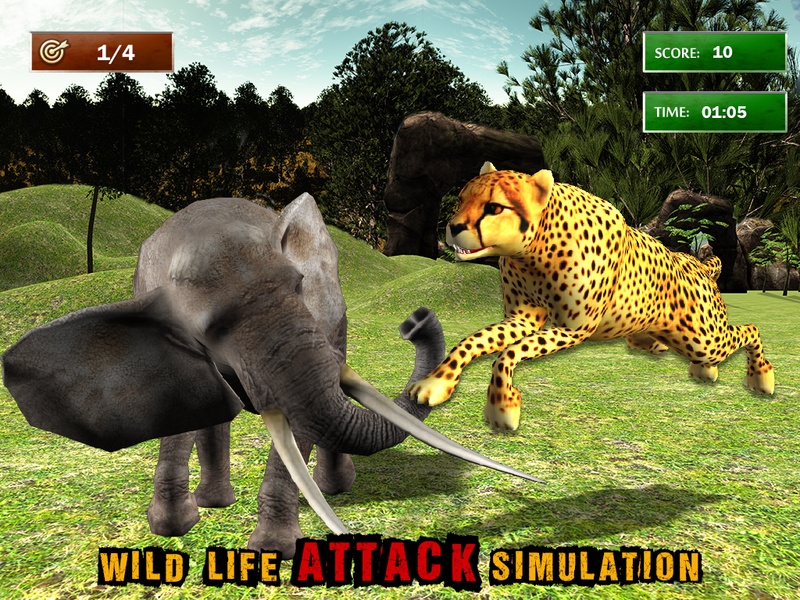 African Cheetah Wildlife - Preview 9