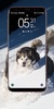 Siberian Husky Wallpaper screenshot 6