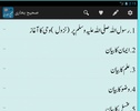 Sahih Bukhari - Urdu screenshot 8