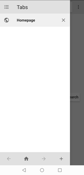 Lite Browser - Preview 2