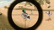 Birds Hunter In Desert screenshot 2