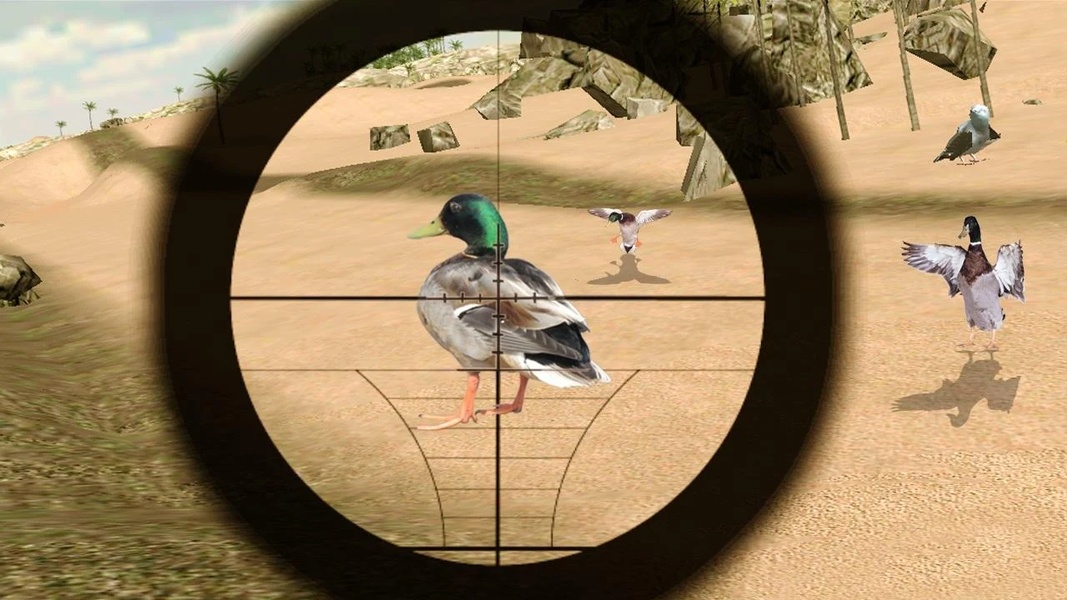 Birds Hunter In Desert - Preview 2