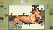 Dog Puzzles screenshot 5