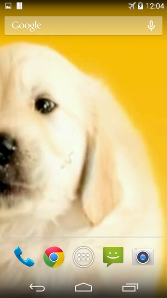 Puppy Licks Screen - Preview 2