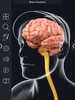 Brain Anatomy Pro screenshot 4
