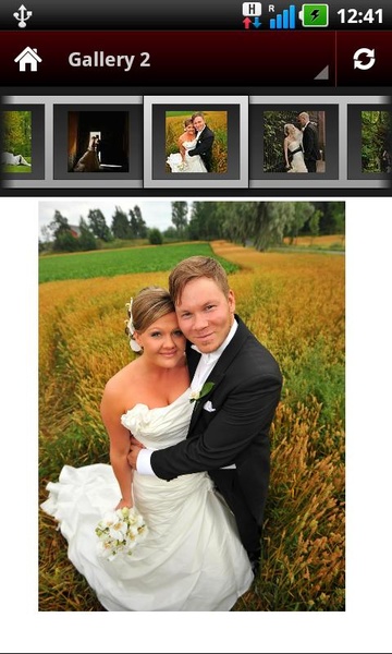 Wedding Portrait Posing Guide - Preview 4